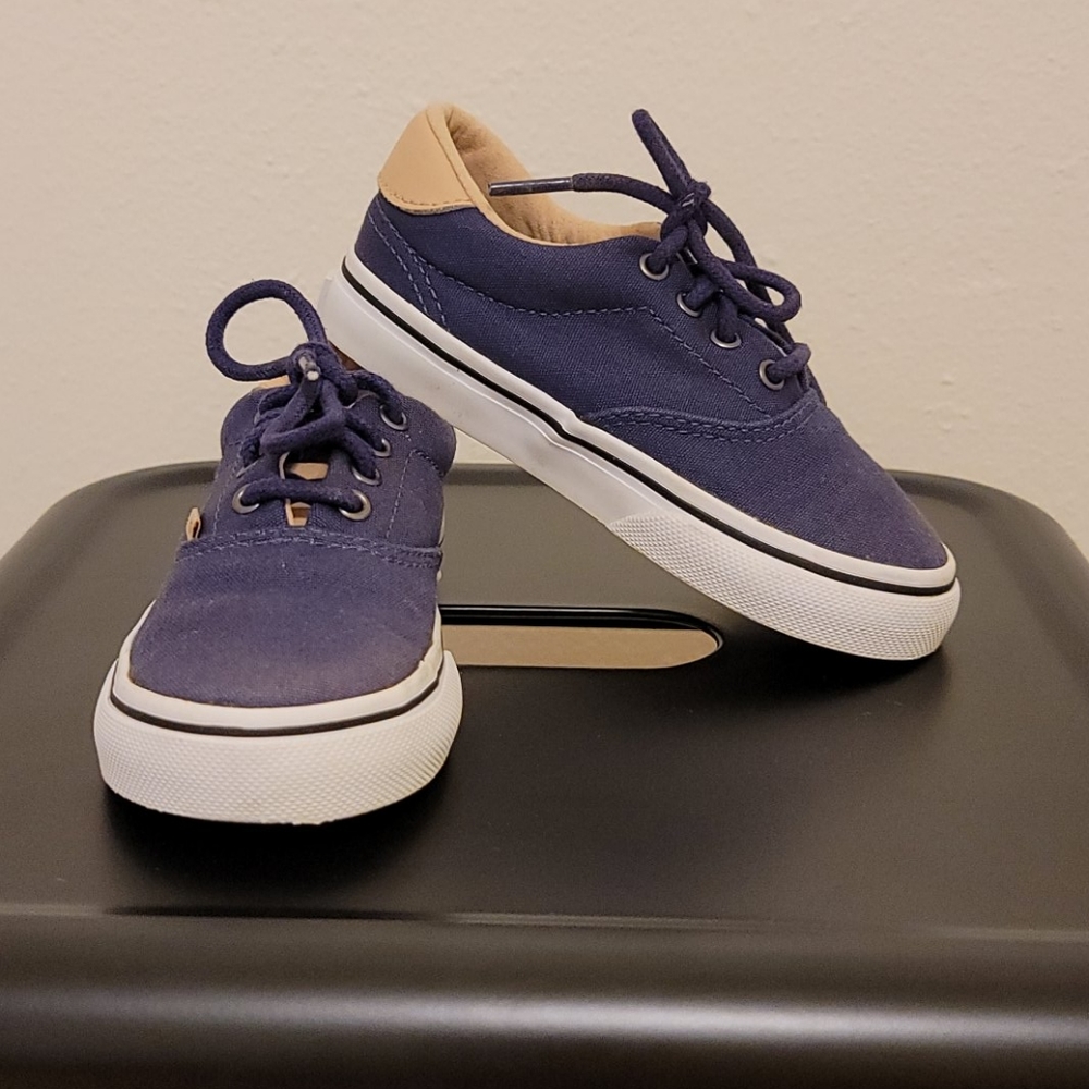 Navy and Tan Vans